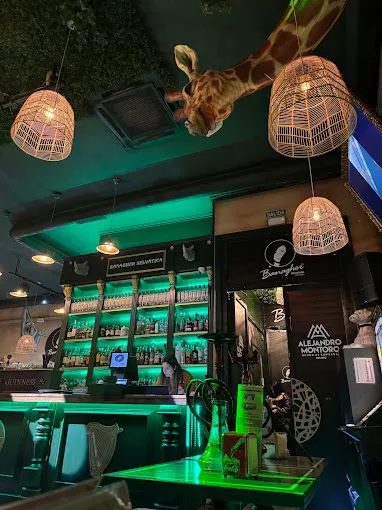Banagher Selvática, Avda. de la Libertad nº 2, esquina C/ Miguel Gila, Córdoba